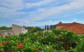 Apartments Zvone